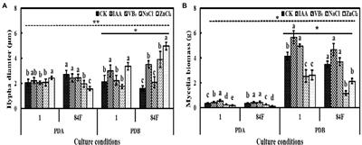 Growth and Characteristics of Two Different Epichloë sinensis Strains Under Different Cultures